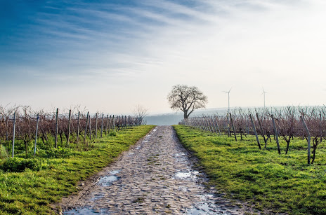 StockSnap_6GFFNWGO0R