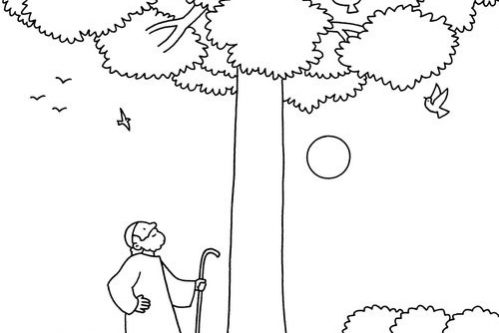 parabole grain de seneve