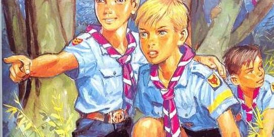 louveteau pierre joubert