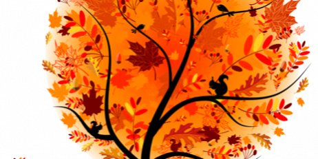 automne arbre